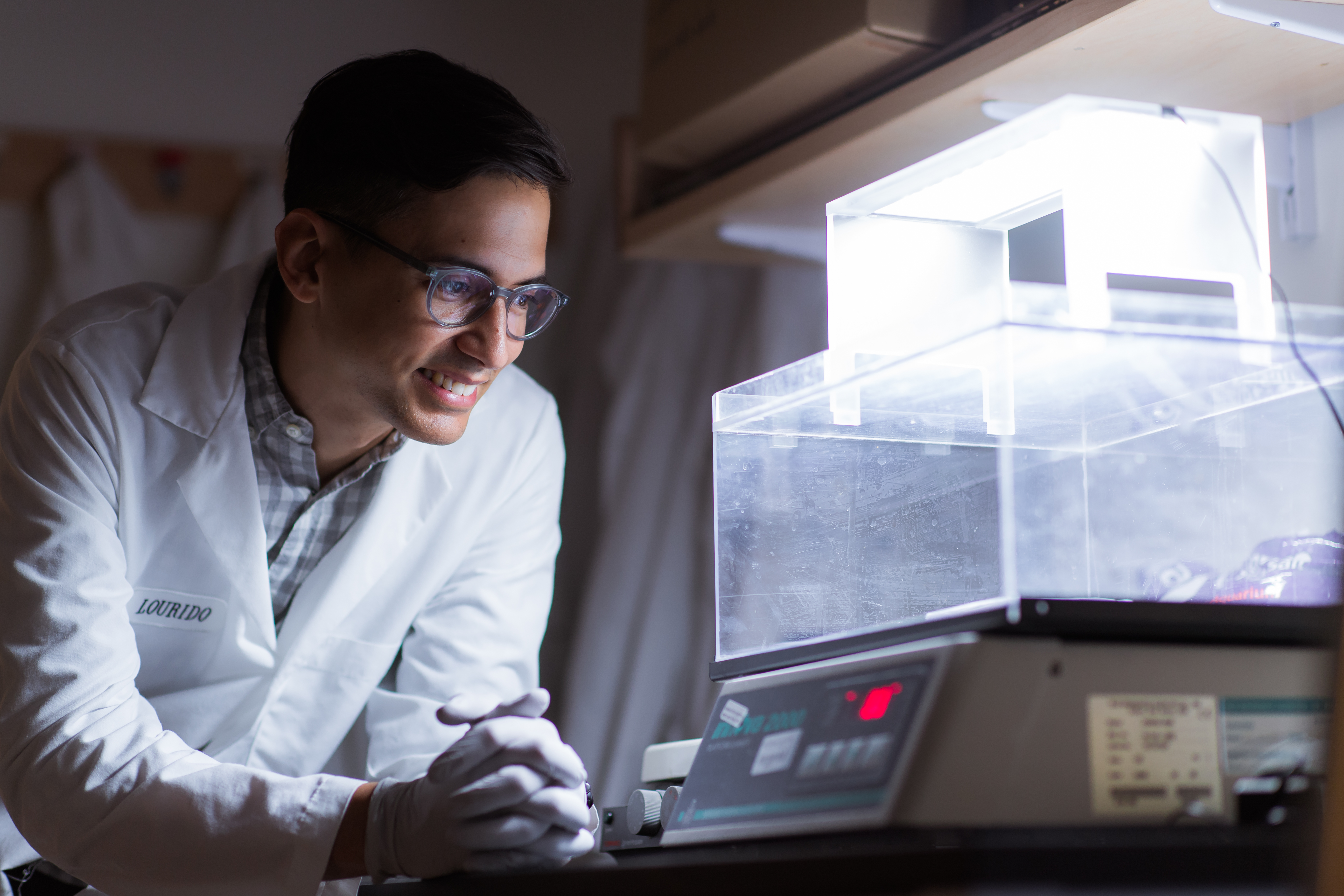 Sebastian Lourido watches an experiment proceed on lab equipment