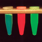 Glowing samples of GFPs